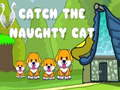 Mchezo Kukamata paka naughty  online