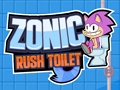 Mchezo Sonic kukimbilia choo online
