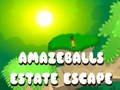 Mchezo Kutoroka kwa Mali ya Amazeballs  online