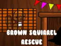 Mchezo Uokoaji wa Squirrel wa Brown  online