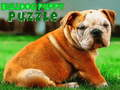 Mchezo Bulldog puzzle online