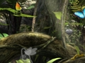 Mchezo Fairy Woods siri vitu  online