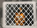 Mchezo Kutoroka kwa Tiger 1  online