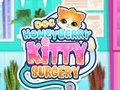 Mchezo Doc Honeyberry Kitty upasuaji online