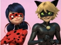 Mchezo Ladybug ya Kimuujiza & Paka Noir Jigsaw Puzzle  online