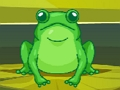 Mchezo Frog Mechi ya Mwalimu online