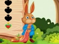 Mchezo Kutoroka kwa Squirrel  online