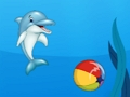 Mchezo Maonyesho ya Dolphin  online