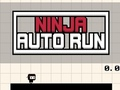 Mchezo Ninja Auto Run online