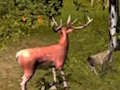 Mchezo Kuwinda Stag  online