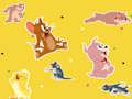 Mchezo Onyesho la Tom na Jerry Ipate!  online