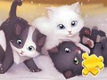 Mchezo Jigsaw Puzzle: Kucheza Paka  online