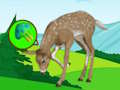 Mchezo Kutoroka kwa Meadow Deer  online