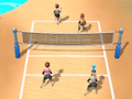 Mchezo Mpira wa wavu wa ufukweni 3D  online