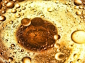 Mchezo Mafuta ya Bubbles Jigsaw  online