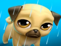 Mchezo Mpenzi Wangu wa Kipenzi Louie the Pug  online
