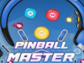 Mchezo Mwalimu wa Pinball  online