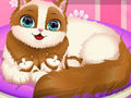 Mchezo Cute Kitty Mjamzito  online