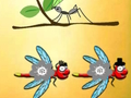 Mchezo Tafuta Dragonfly Cooper  online