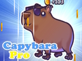 Mchezo Capybara Pro online