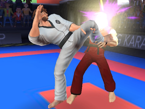 Mchezo Mpiganaji wa Karate  online