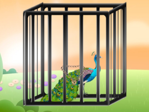 Mchezo Uokoa peacock radiant  online