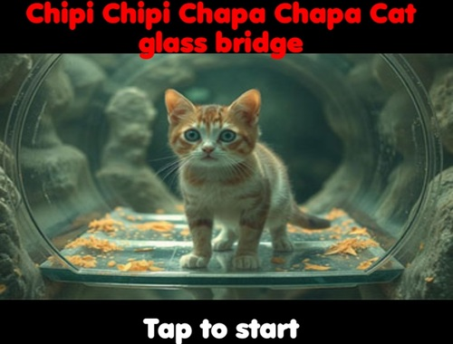 Mchezo Chipi Chipi Chapa Chapa Cat Glasi Daraja  online
