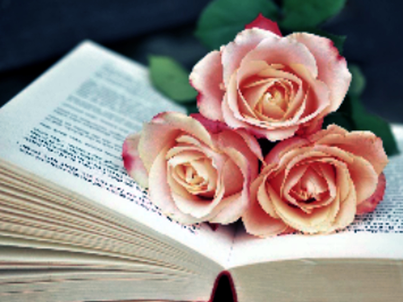 Mchezo Kitabu cha Blooms Jigsaw online